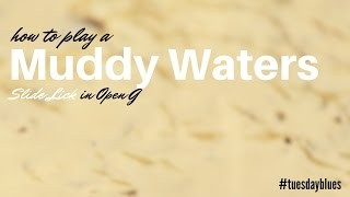 Muddy Waters Style Slide Lick in Open G | TB048