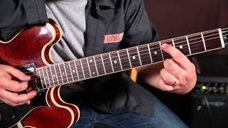 How to "Jazz" up Your Blues Chords - Blues Guitar Lessons - Embellishments by Marty Schwartz